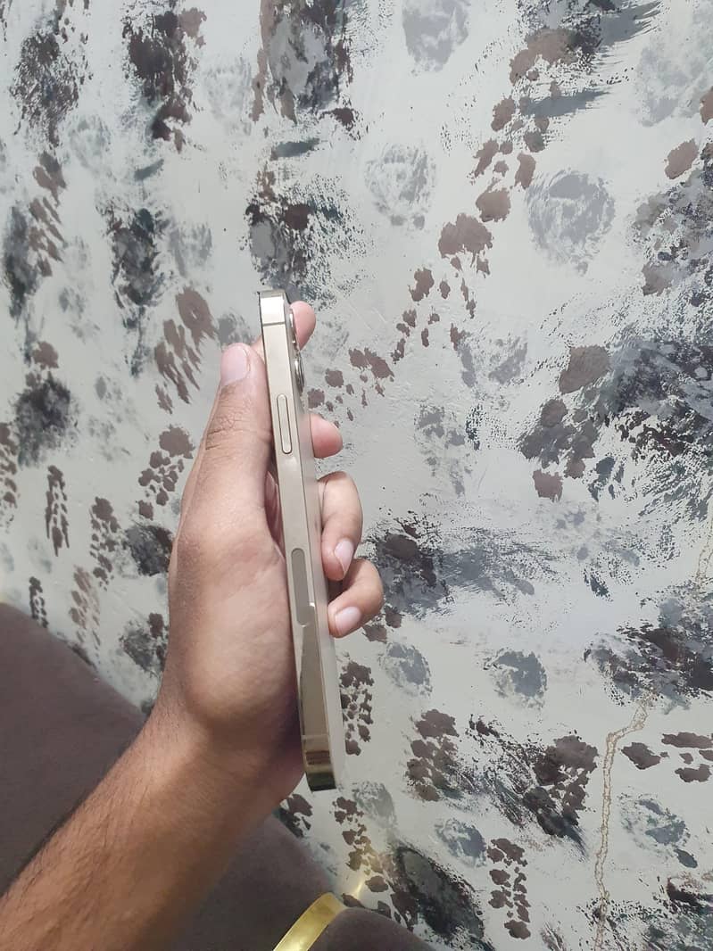 iPhone 12 pro 3