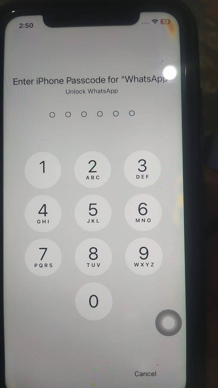 Apple iPhone 11 0