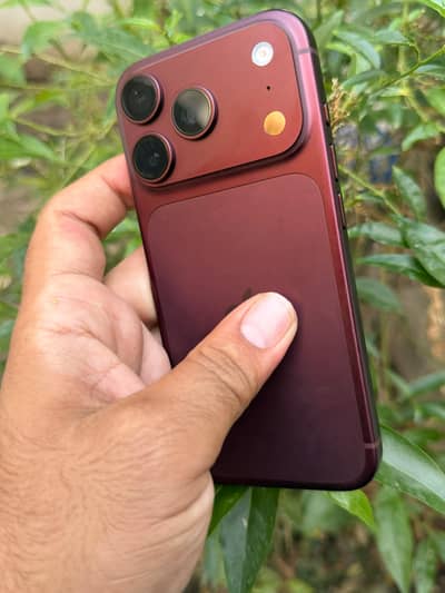 iphone 180 pro Burgandy