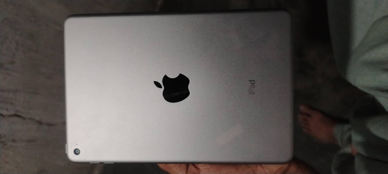 ipad Mini 4 6