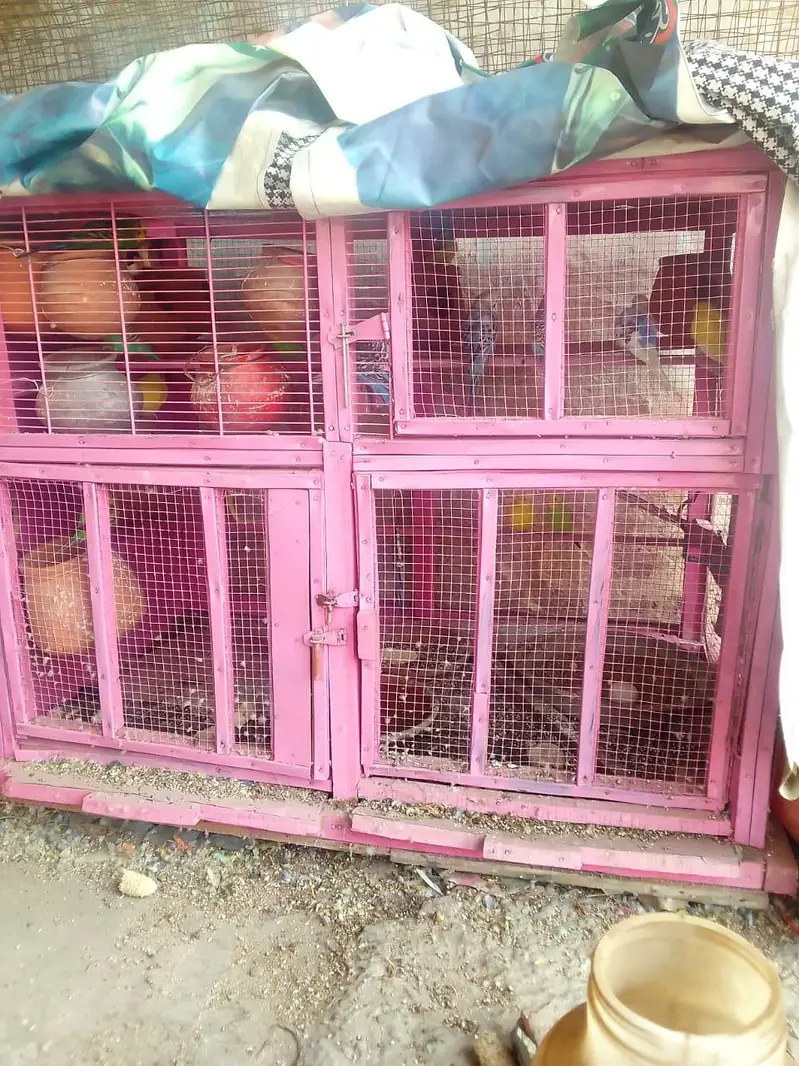 urgent sale