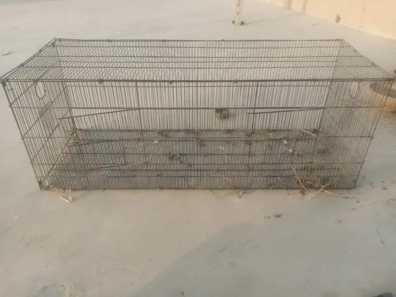 pinjra