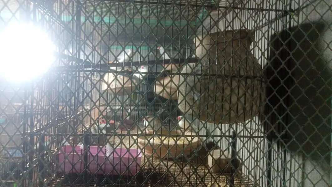 complete setup sale karna hain — photo 5