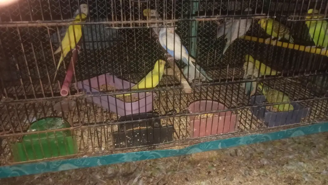 complete setup sale karna hain — photo 10