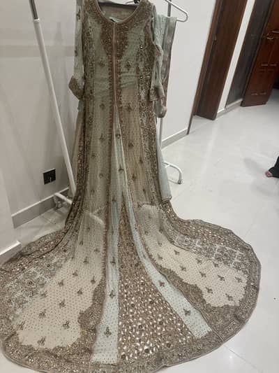 Beautiful lehnga choli dress with a huge tail