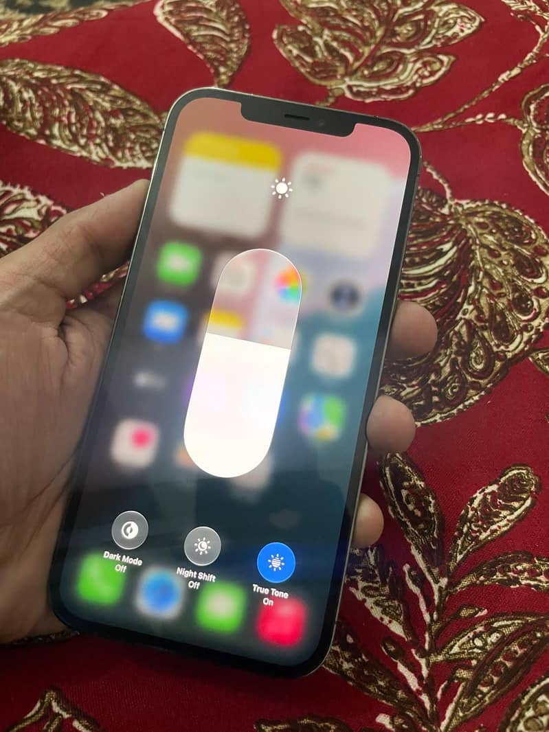 Apple iPhone 12 Pro Max 1