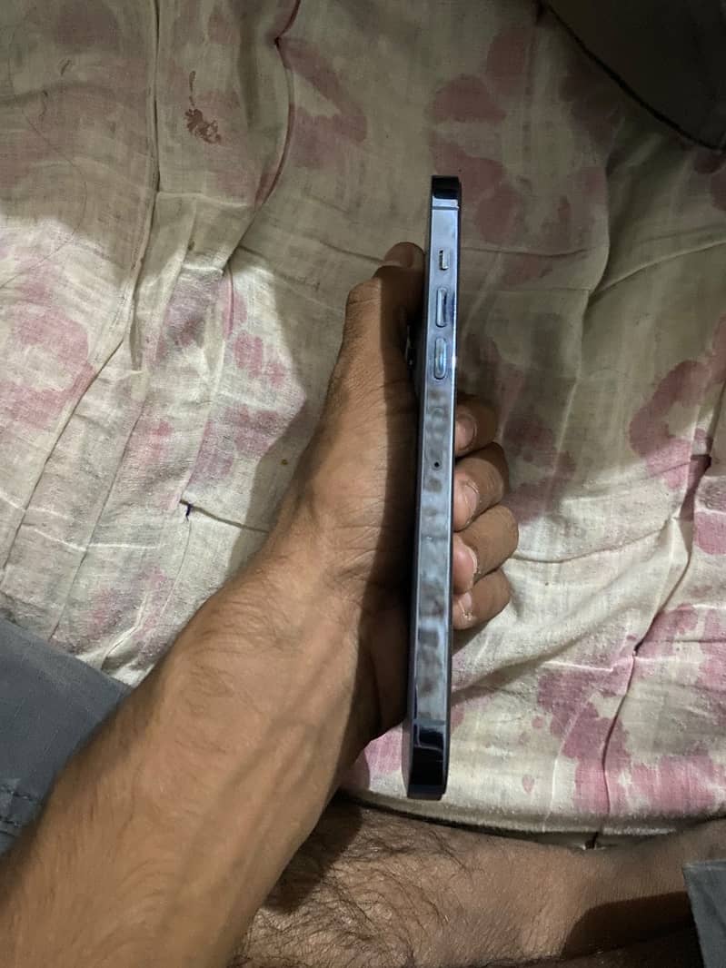 Apple iPhone 13 Pro Max 1