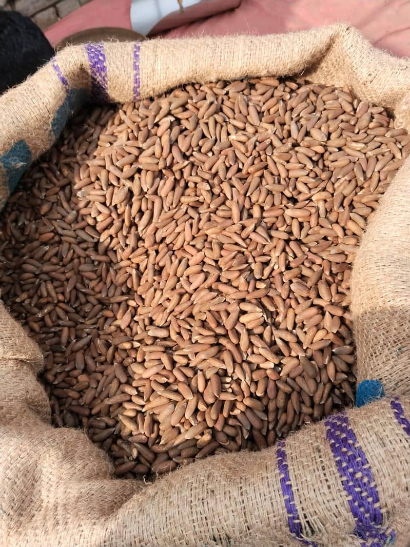 dry fruit 0