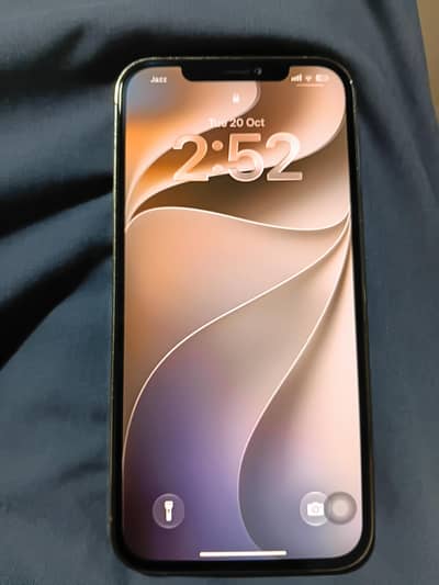 Apple iPhone 12 Pro Max