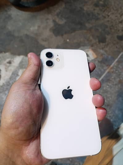 Apple iPhone 12