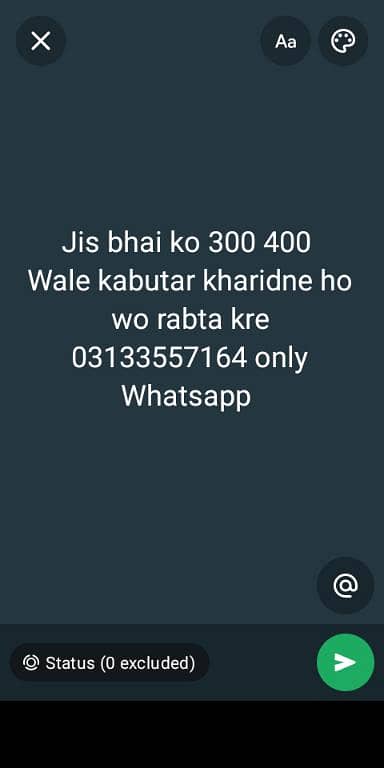 03133557164 only Whatsapp