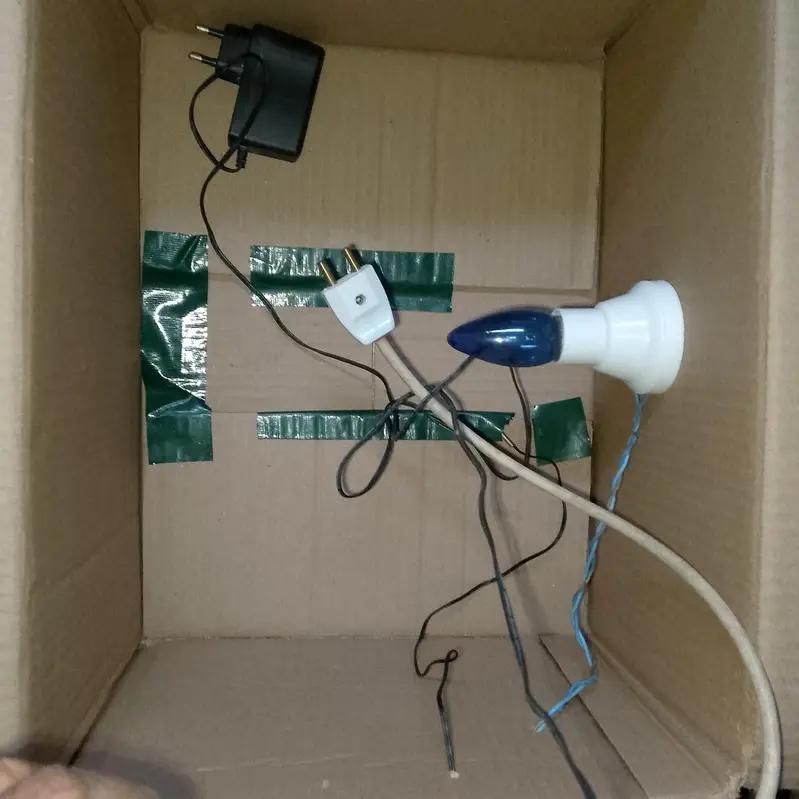 in Rawalpindi incubator O3OO5O26337 Whatsapp — photo 3