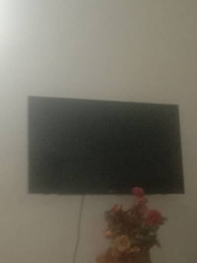 Only 2 month used