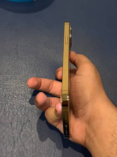 Apple iPhone 12 Pro Max 256 GB NON PTA