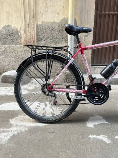 Roman Bike sports bicycle