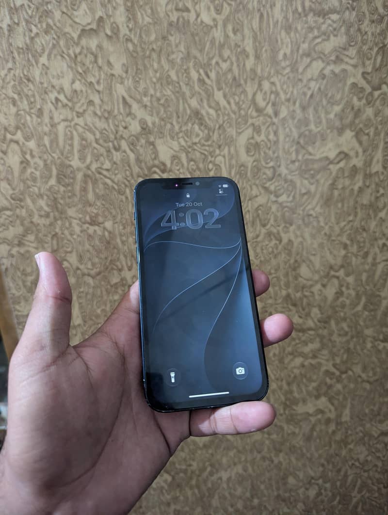 Apple iPhone 12 1