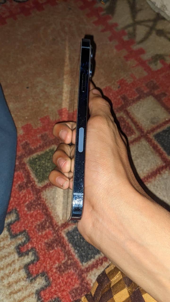Apple iPhone 13 Pro Max 1