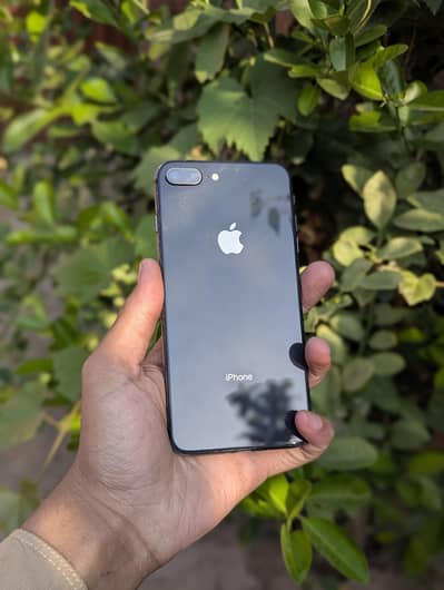 Apple iPhone 8 Plus All ok working ma hai