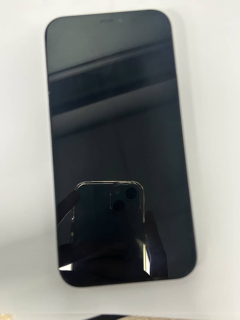 Apple iPhone 12 1