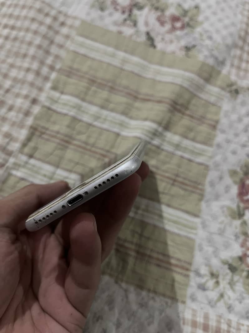 apple 1