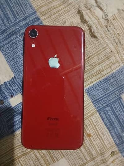 iPhone XR