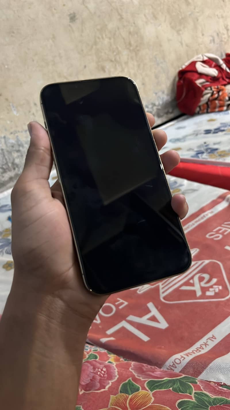 Apple iPhone 13 Pro Max 0