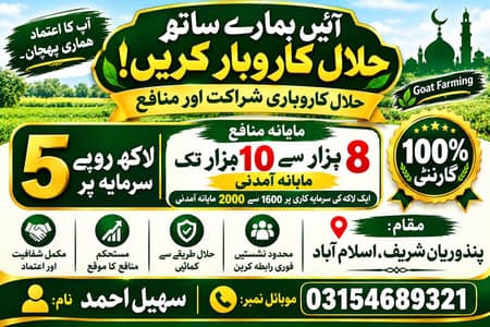halal karobar