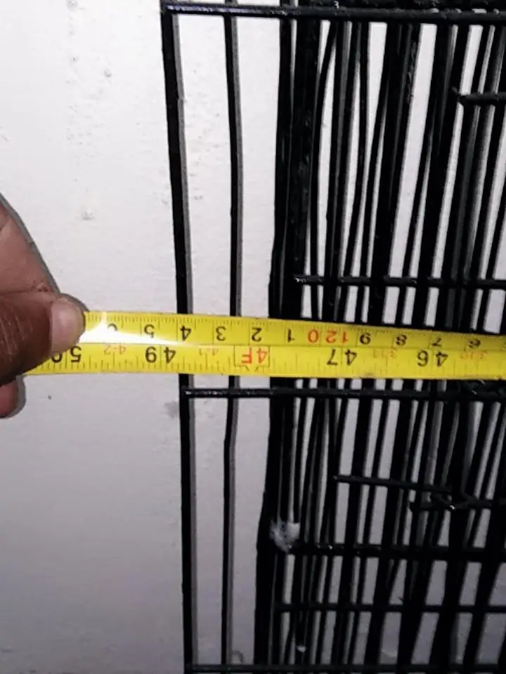 cages — photo 3