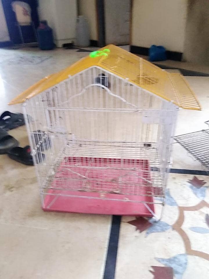 cages 6