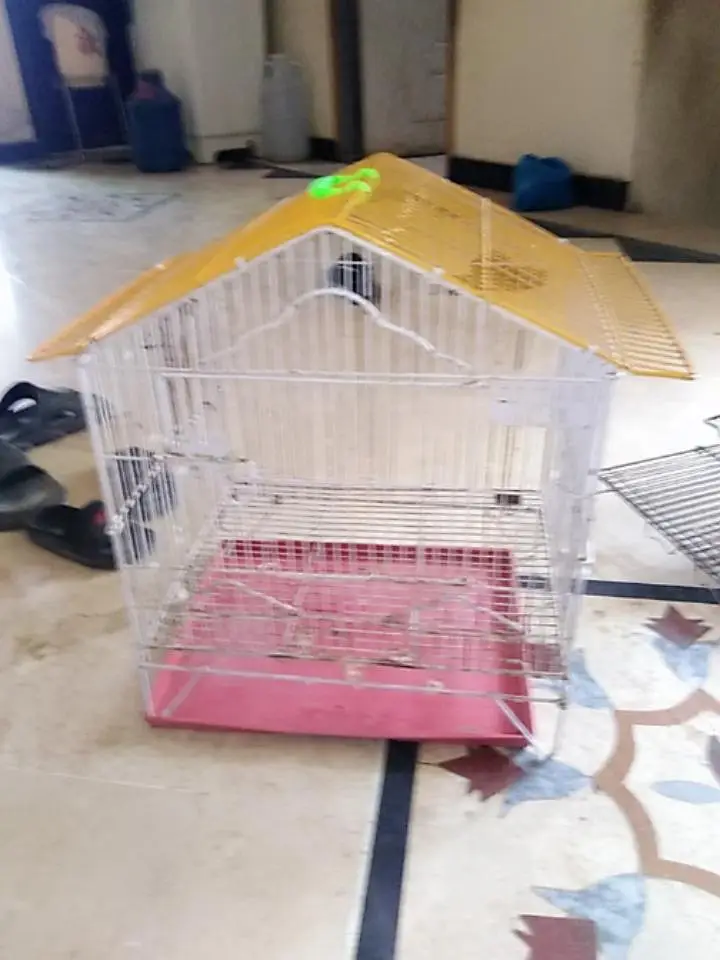 cages — photo 7