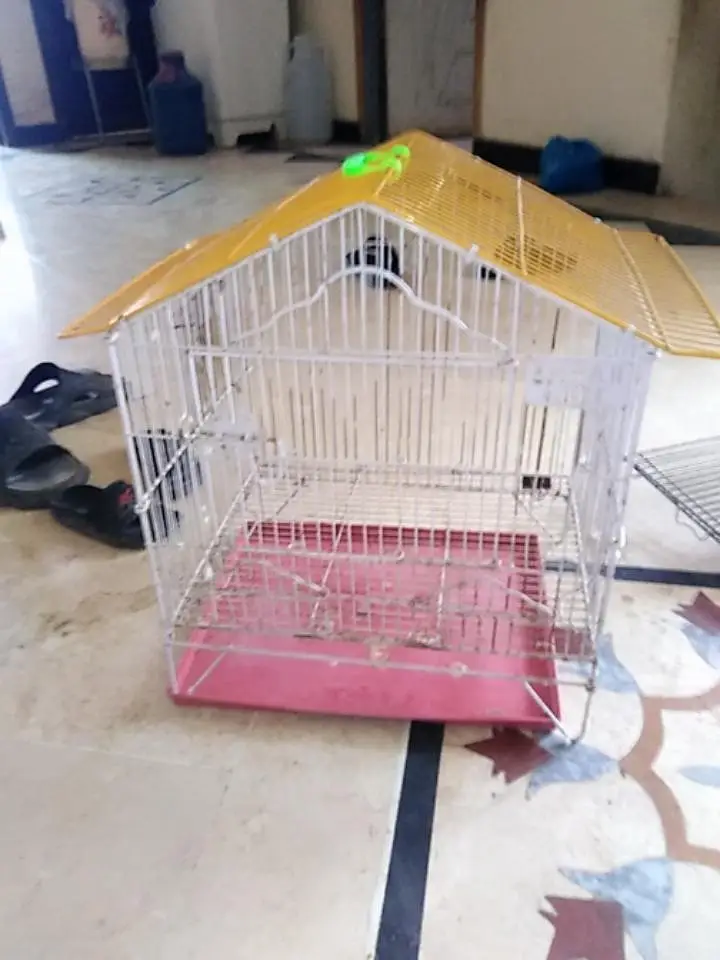 cages — photo 8