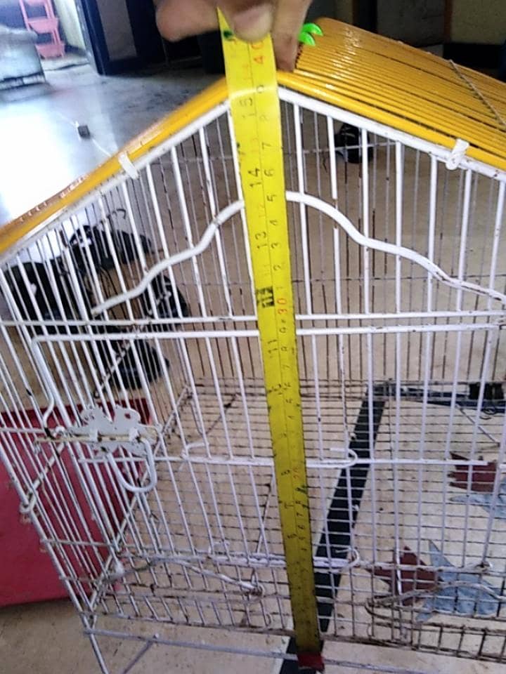 cages 8