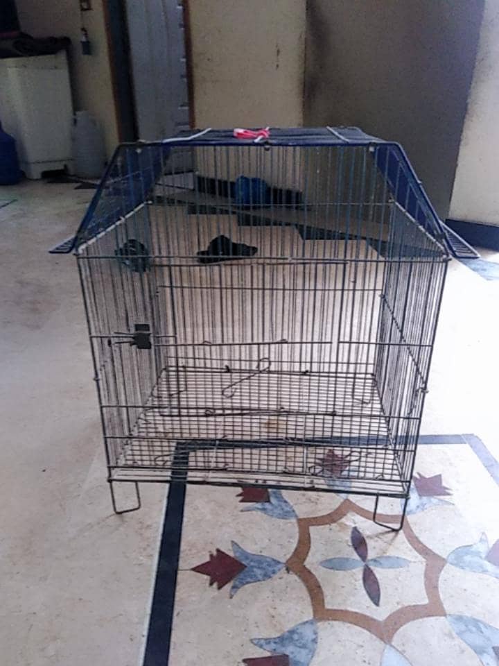 cages 10