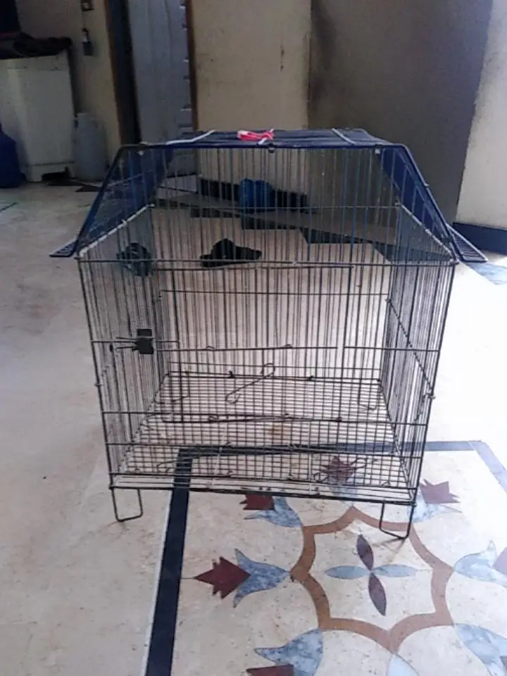 cages — photo 11