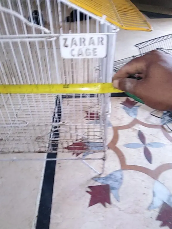 cages — photo 12