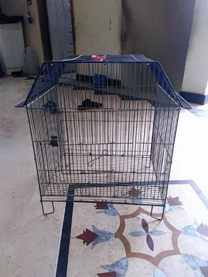 cages 12