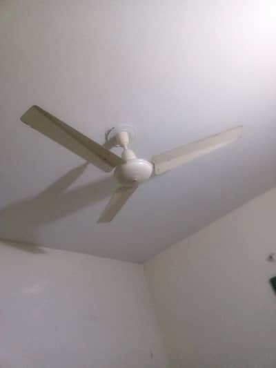 old Fans but good working