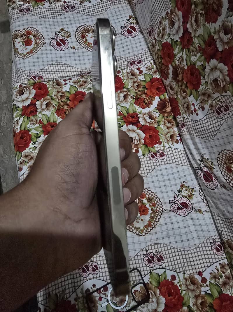 Apple iPhone 13 Pro Max 1