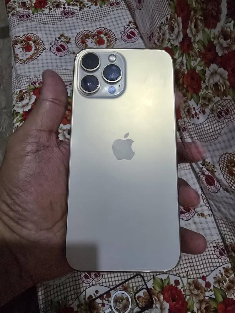 Apple iPhone 13 Pro Max 3