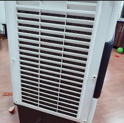 cooler in excellent condition