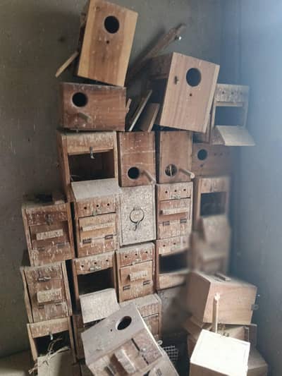 love bird Breeding kicker Boxes for sale