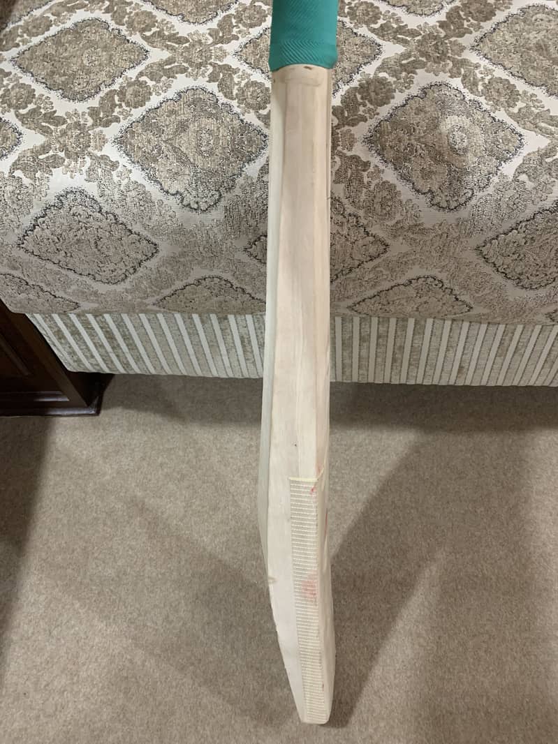 Kashmir Willow Original Bat 2