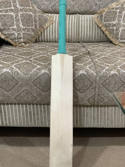 Kashmir Willow Original Bat