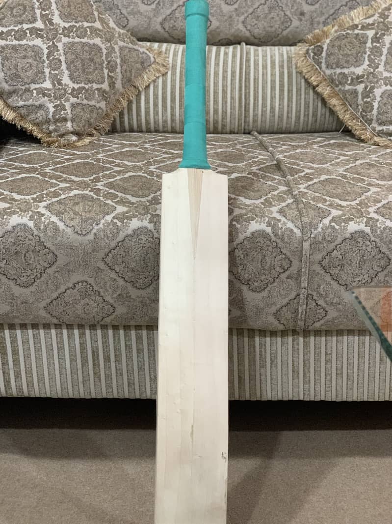Kashmir Willow Original Bat 0