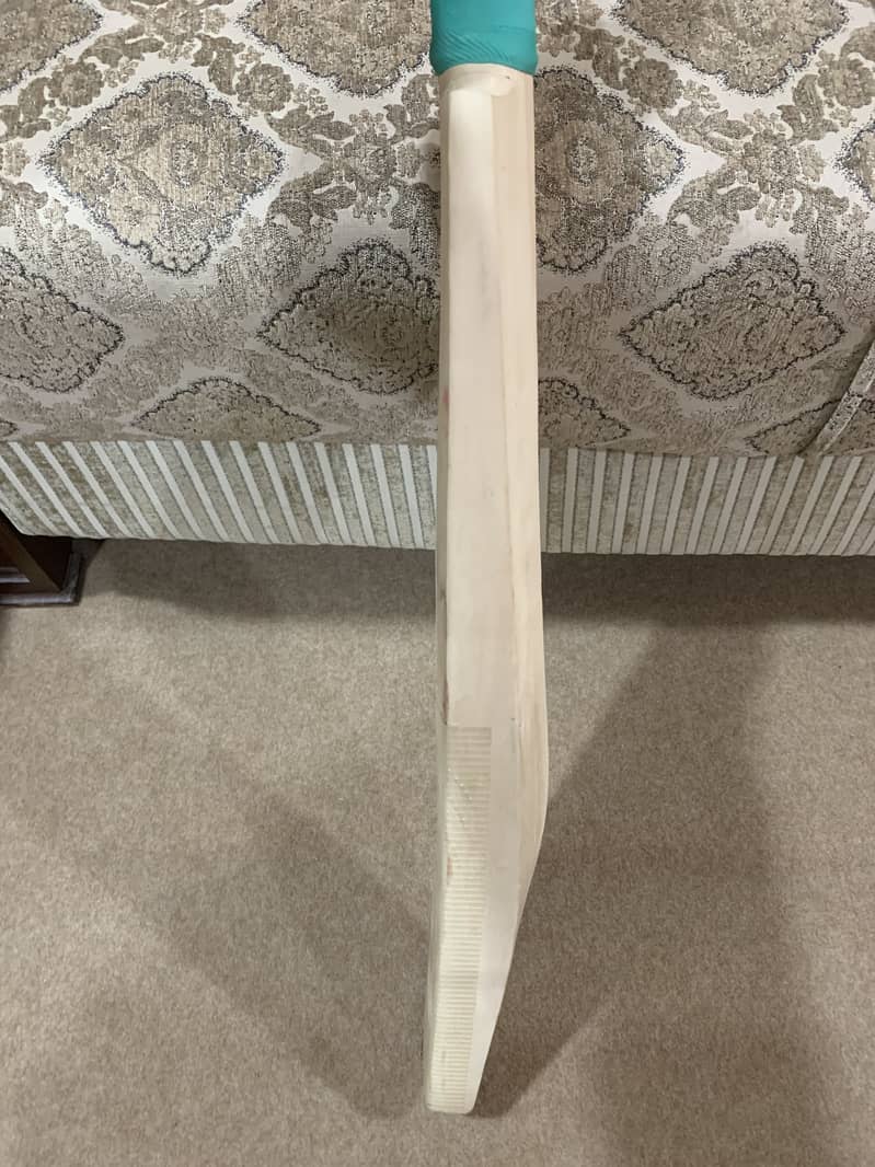 Kashmir Willow Original Bat 3