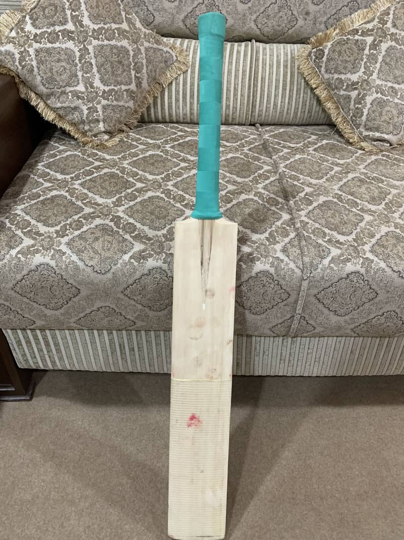 Kashmir Willow Original Bat 1