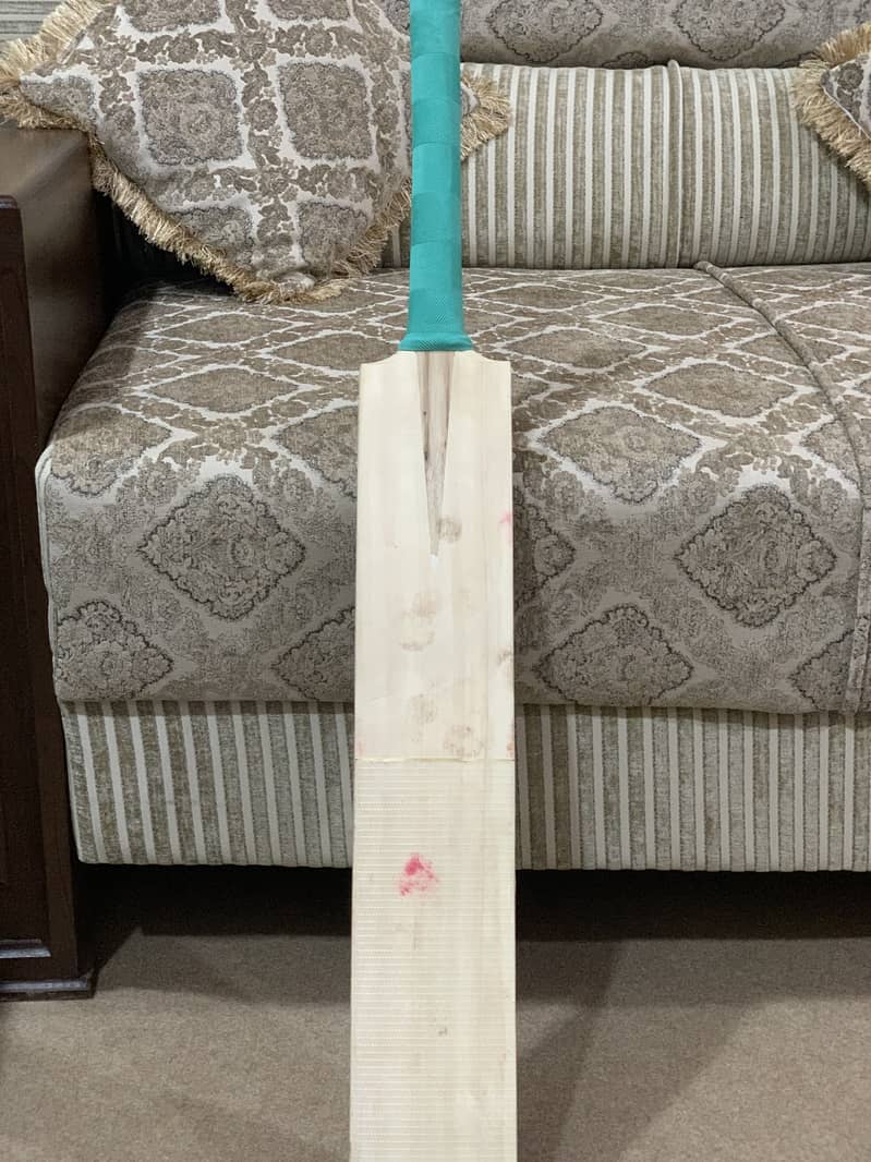Kashmir Willow Original Bat 4