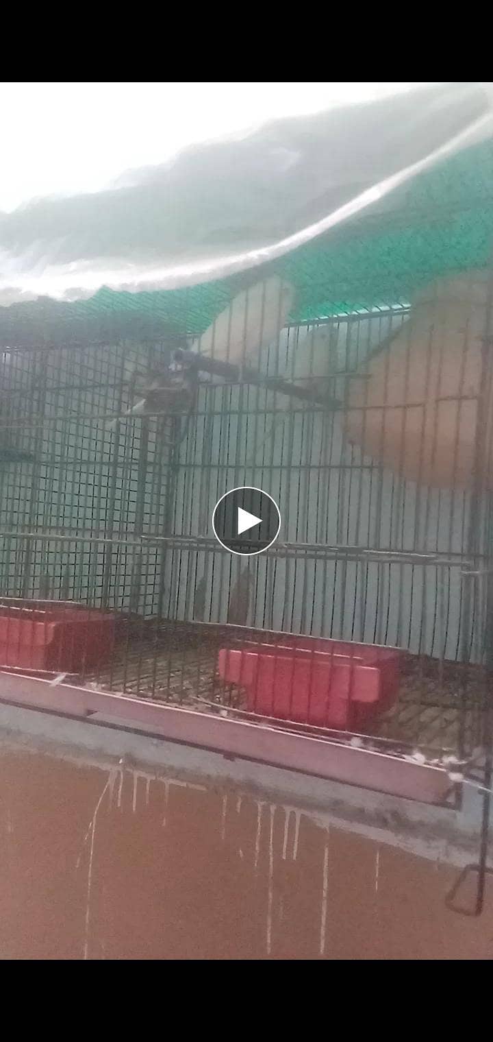 2 confirm Beriding pair 4