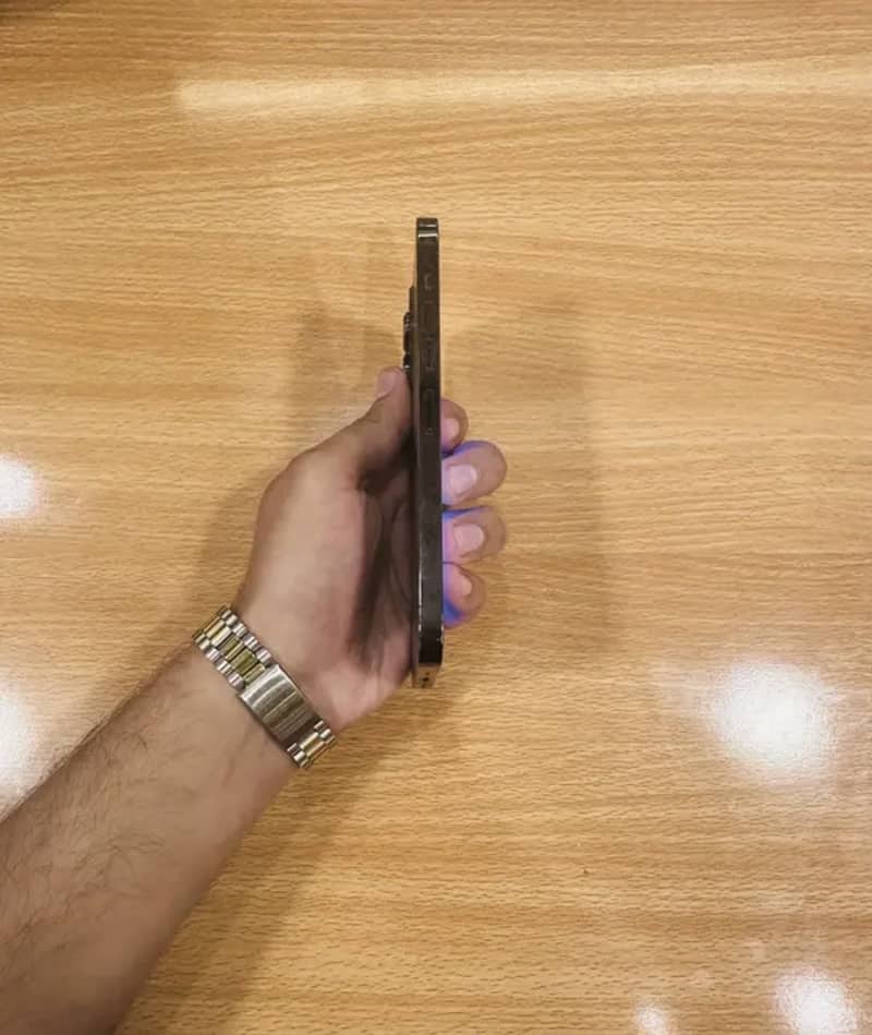 Apple iPhone 13 Pro Max 1