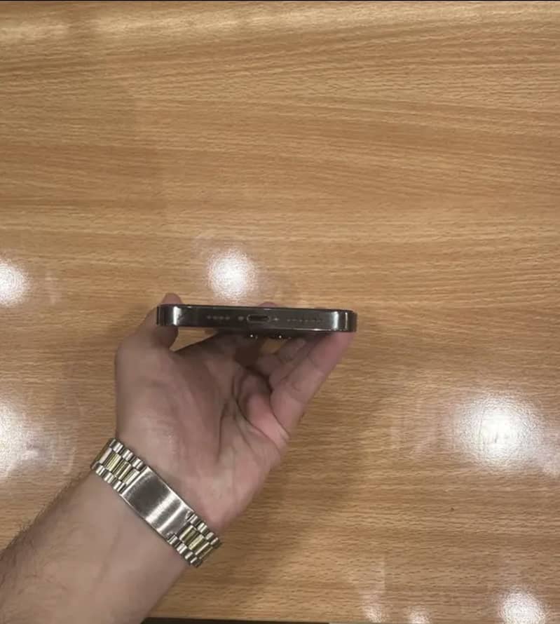 Apple iPhone 13 Pro Max 3